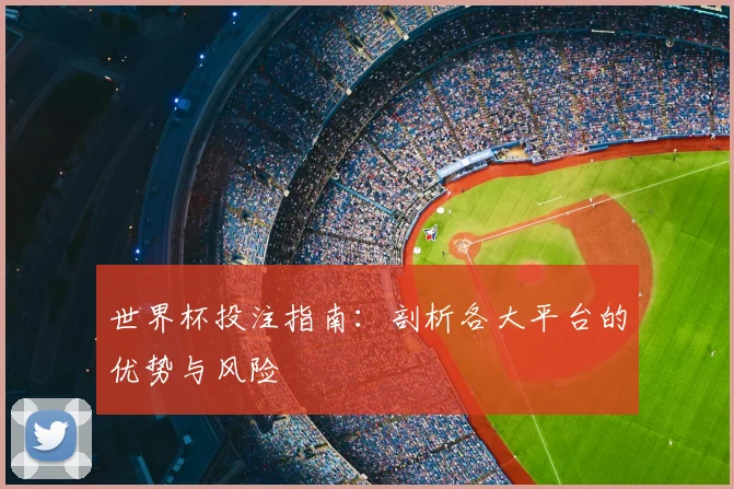 世界杯投注指南:剖析各大平台的优势与风险