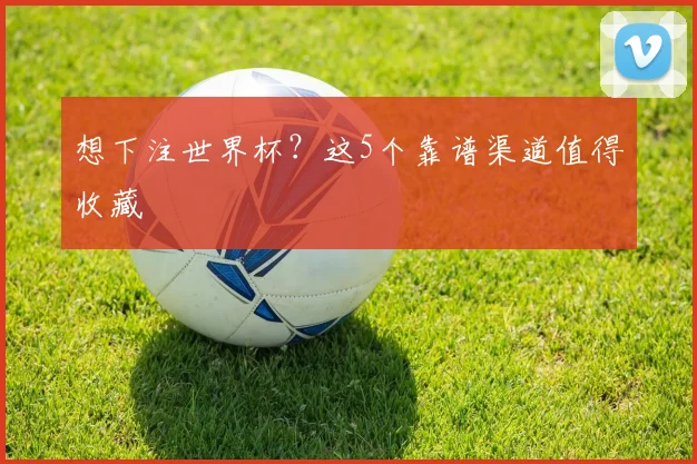 想下注世界杯?这5个靠谱渠道值得收藏