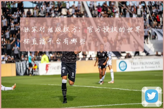 独家对话版权方：官方授权的世界杯直播平台有哪些
