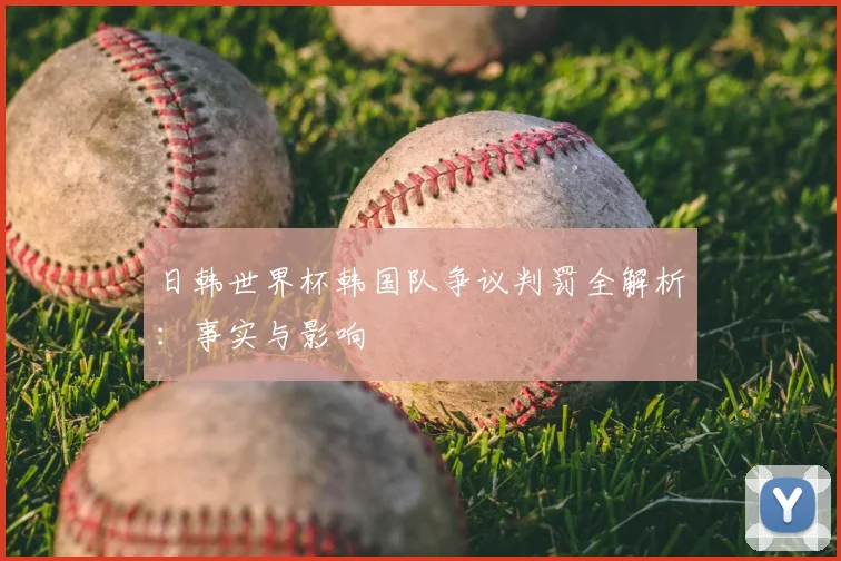 日韩世界杯韩国队争议判罚全解析:事实与影响