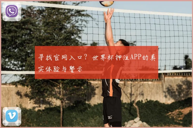 寻找官网入口?世界杯押注APP的真实体验与警示