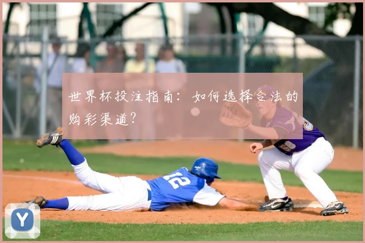 世界杯投注指南：如何选择合法的购彩渠道？